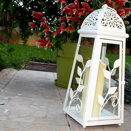 Heliofili Finikounta