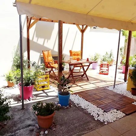 Heliofili * Finikounta