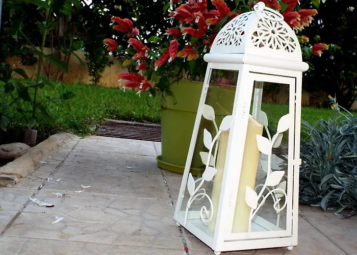 Heliofili Finikounta